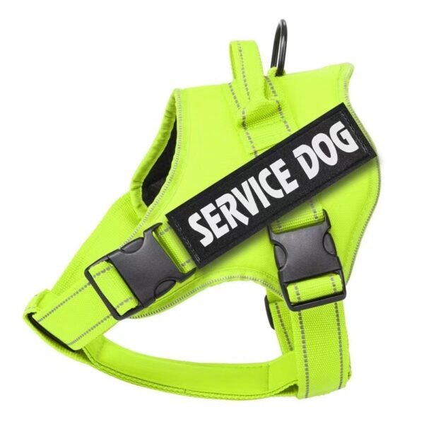 Saddle style reflective pet leash PU leather leash P rope - Image 11