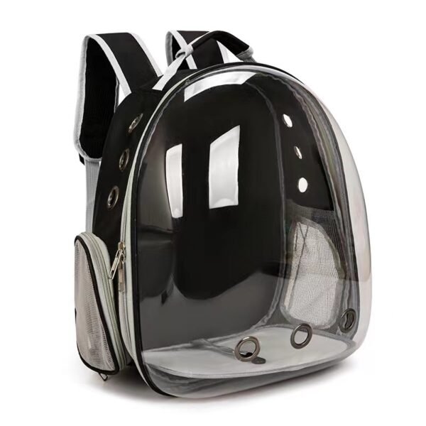 Transparent outdoor cat bag, portable for going out