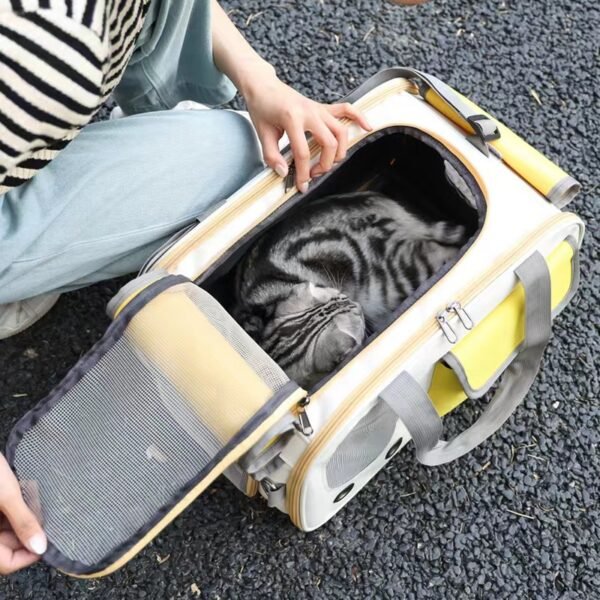 Large capacity transparent cat and dog carry bag backpack - Image 4