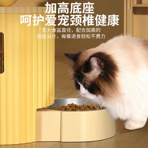 Upgrade cat bowl, dog bowl, automatic feeder, drinking basin, dual bowl cat food and water dispenser - Image 3